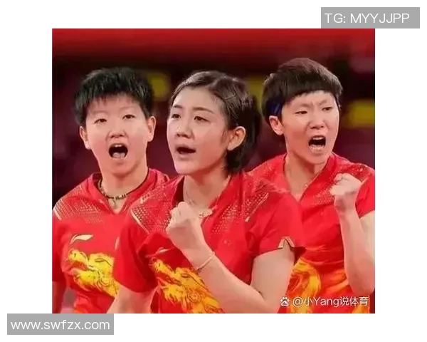 深圳排球队以75分领跑精英赛积分榜展现强大实力与竞争优势