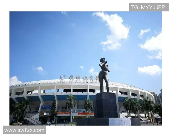 深圳羽毛球队的蜕变与成长之路迎接奥运会新挑战 深圳羽毛球队的蜕变与成长之路迎接奥运会新挑战