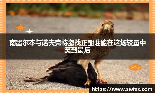 谈球吧APP